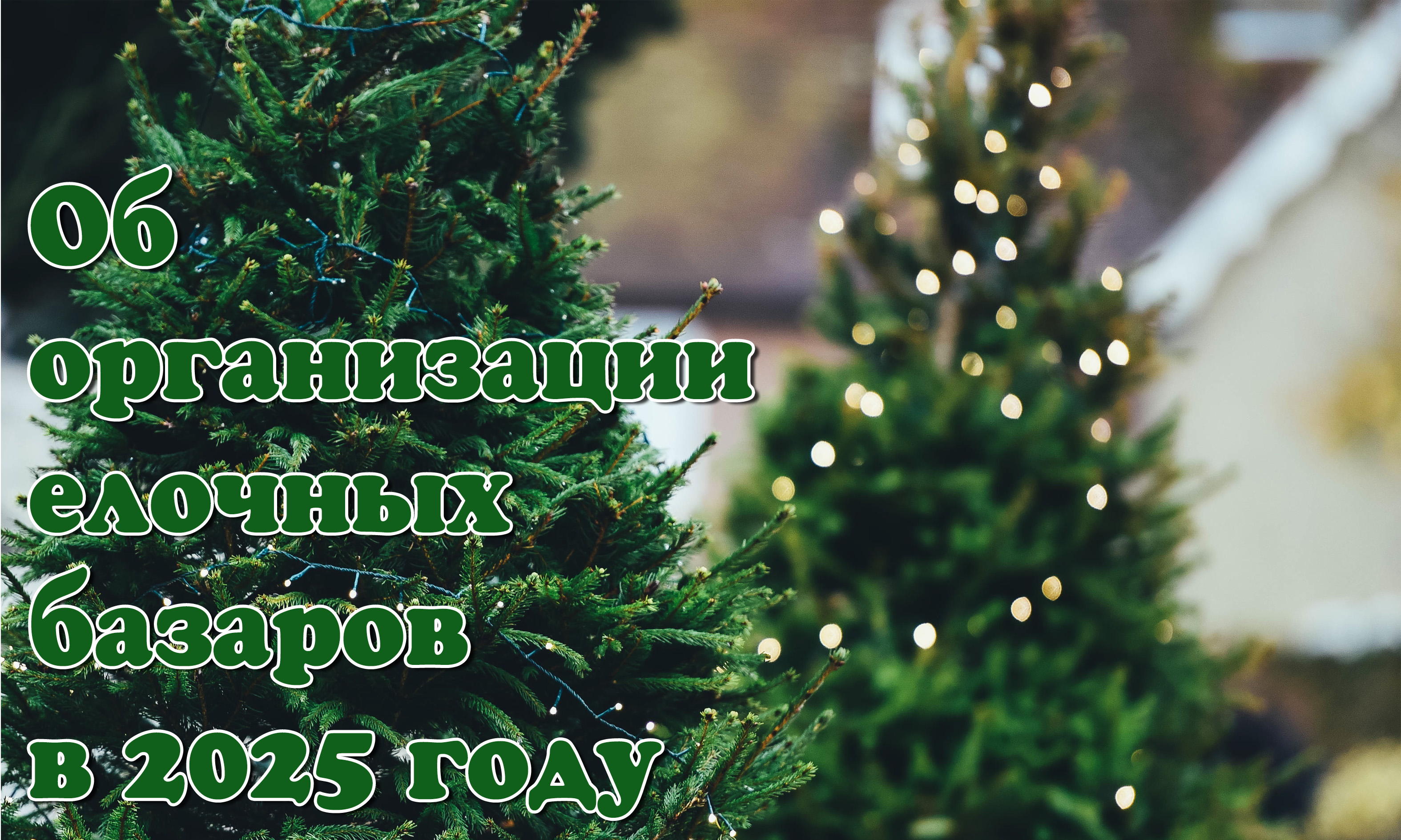 О продаже елей новогодних