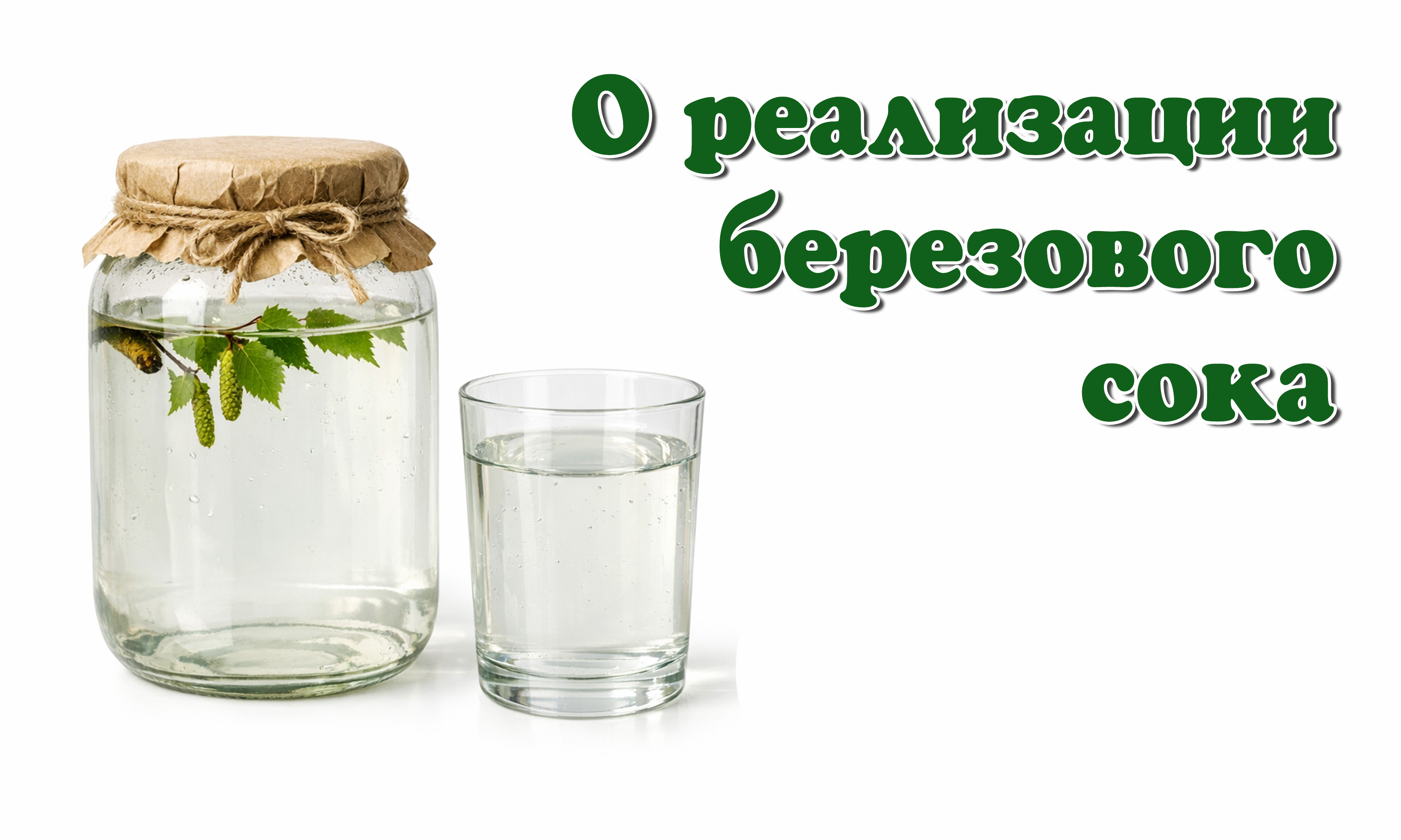 О реализации березового сока